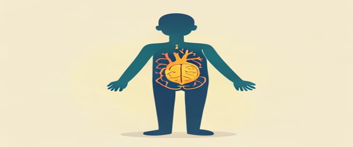 Labeled anatomy and physiology illustration used in the HESI A2 lessons